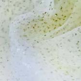 Arany glitteres tüll - WHITE/GOLD